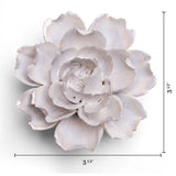 Pearl Rose