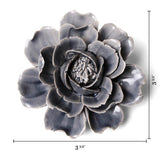 Rose Grey