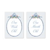 Baby Milestone Cards Joie