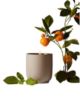 Candle Mandarin Basile