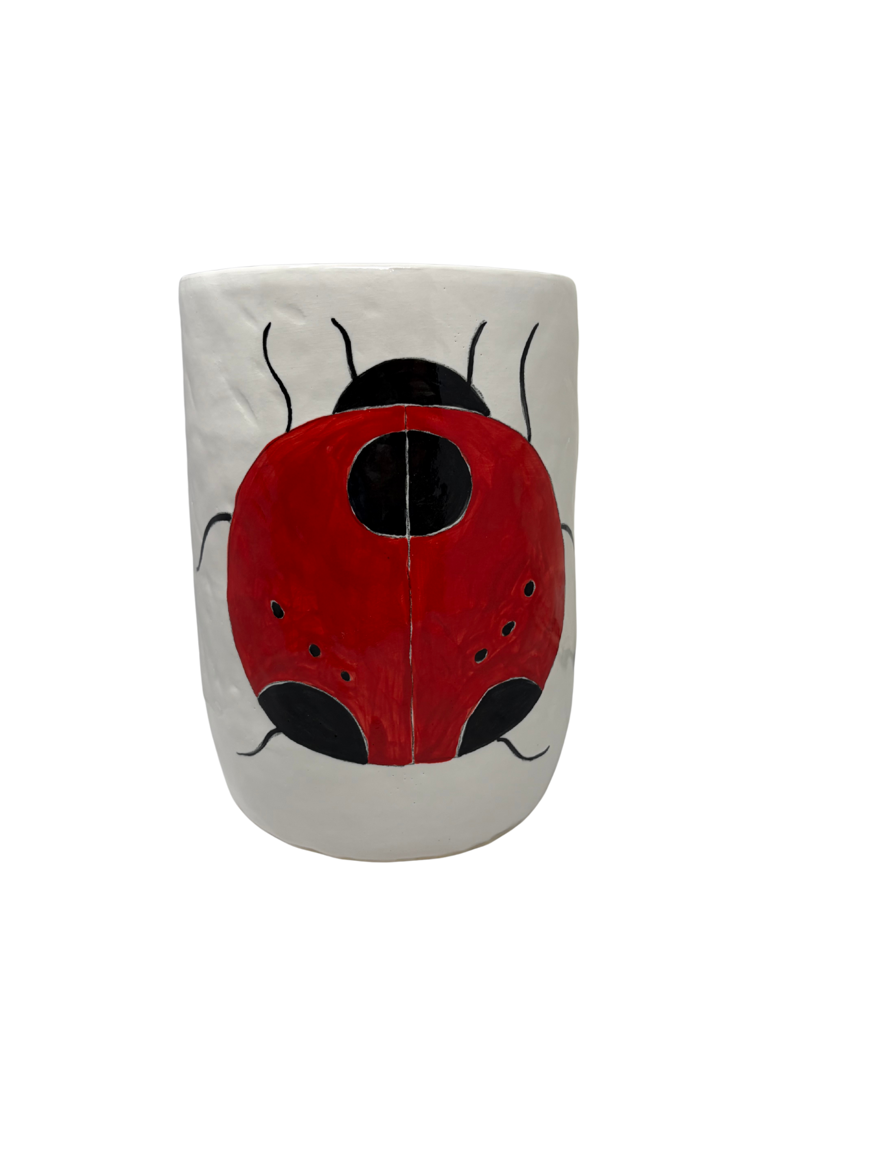 Medium Vase Ladybug 1