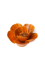 Orange Poppy