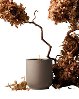 Candle Cece