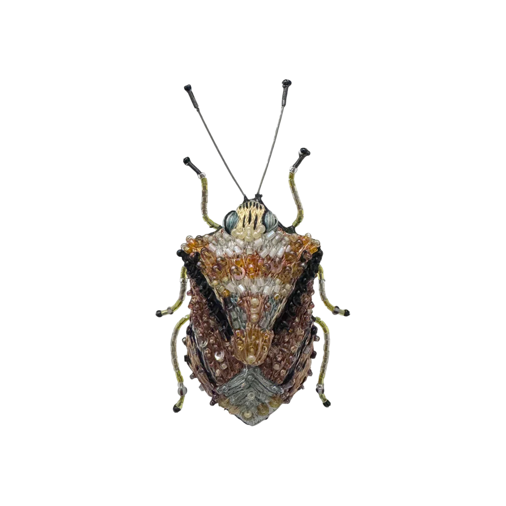 Brooch European Shield Bug