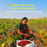 Guntur Sannam Chili Powder