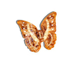 Claw Morpho Butterfly Brown