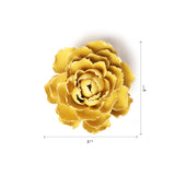 Yellow Paree Peony