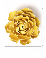 Yellow Paree Peony