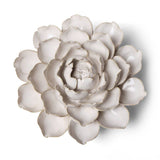 Ivory Empire Cabbage Flower