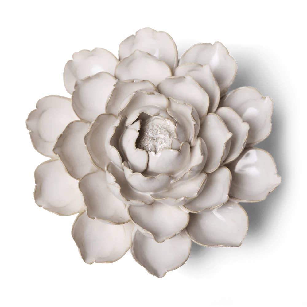 Ivory Empire Cabbage Flower