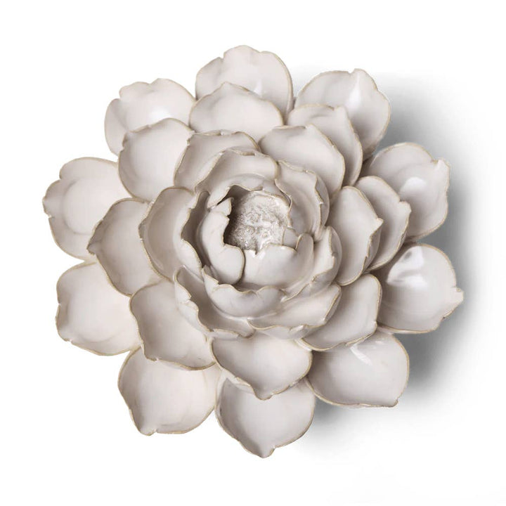Ivory Empire Cabbage Flower