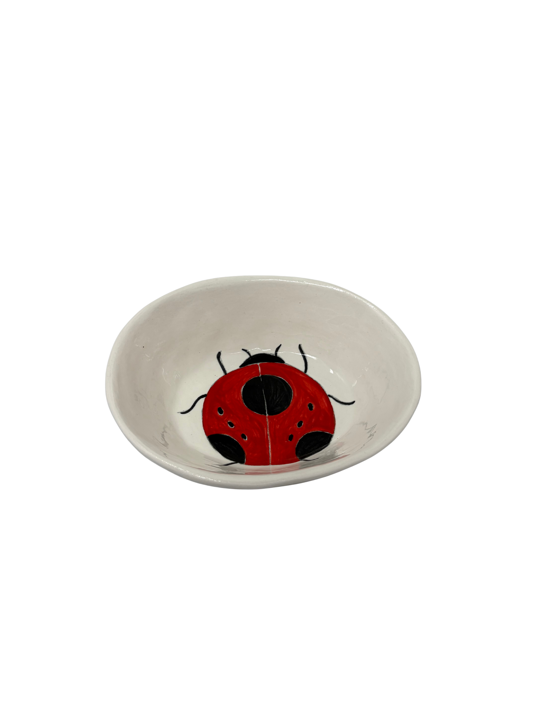 Small Oval Ladybug 4