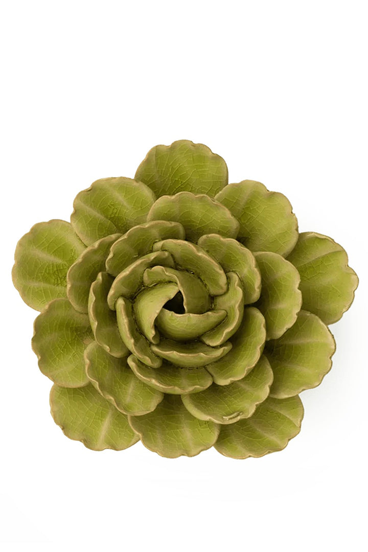 Green Light Green Peony
