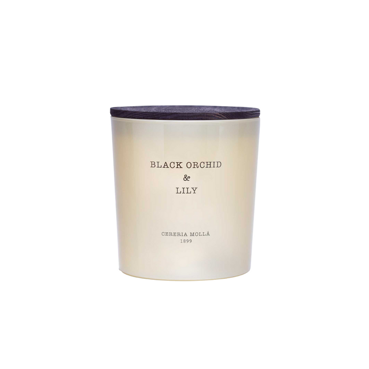 Black Orchid & Lily 3 Wick Candle
