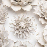 Ivory Spider Mum