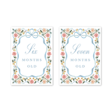 Baby Milestone Cards Cottagecore Floral