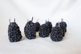 Blackberry Beeswax Birthday Candles: 10