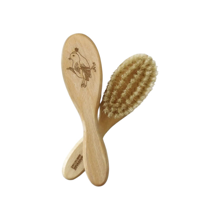 The Tiny Finch Barnabe Aime Le Cafe baby hairbrush made of beech wood with soft white silk bristles and bird engraving