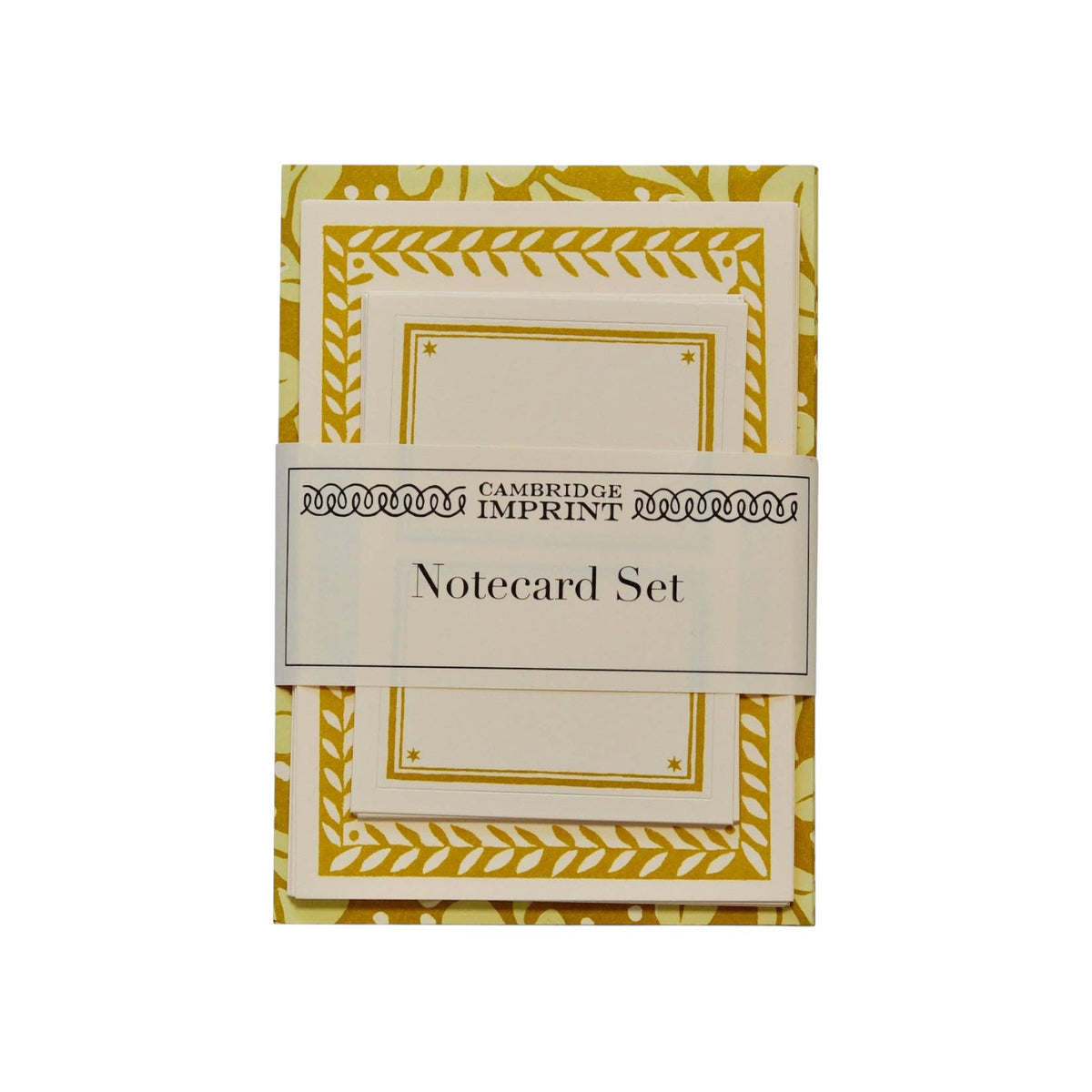 The Tiny Finch Cambridge Imprints notecard set in Quercus sap green with decorative gold patterned borders.