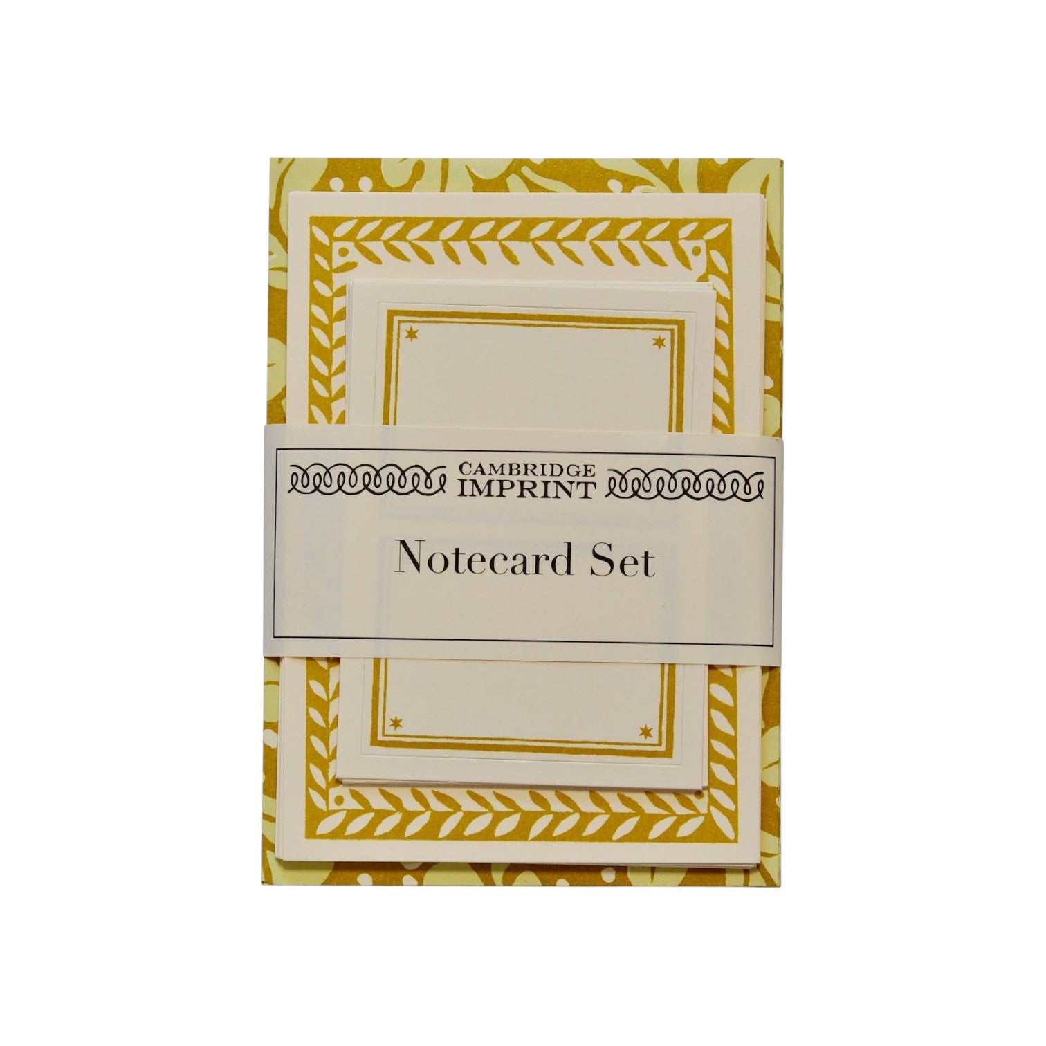 The Tiny Finch Cambridge Imprints notecard set in Quercus sap green with decorative gold patterned borders.