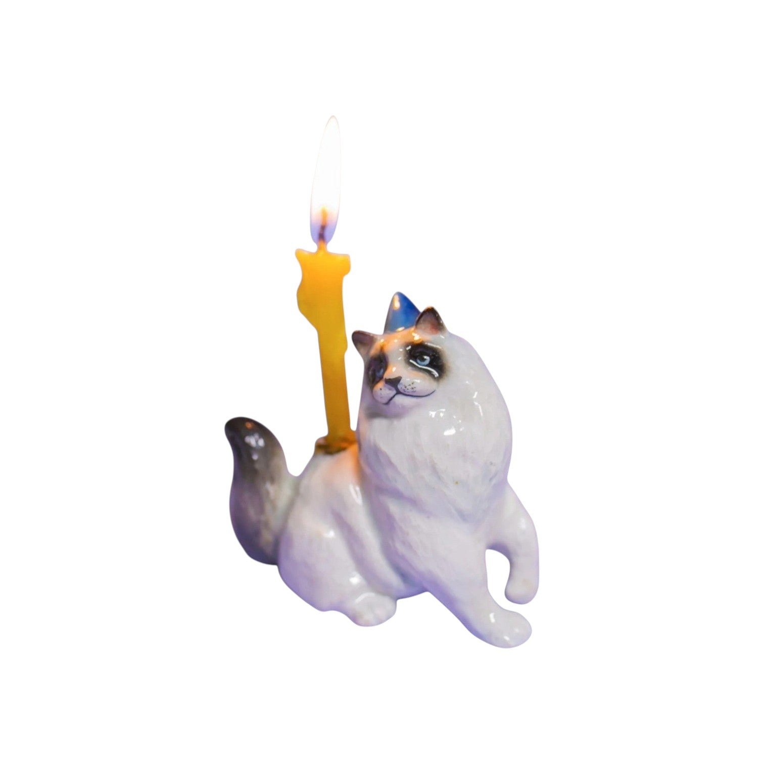 The Tiny Finch Ragdoll cat cake topper with a party hat and a lit yellow candle for birthday celebrations.