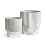 The Tiny Finch Pinny Pot set in whitewash concrete with modern vertical and horizontal line textures.